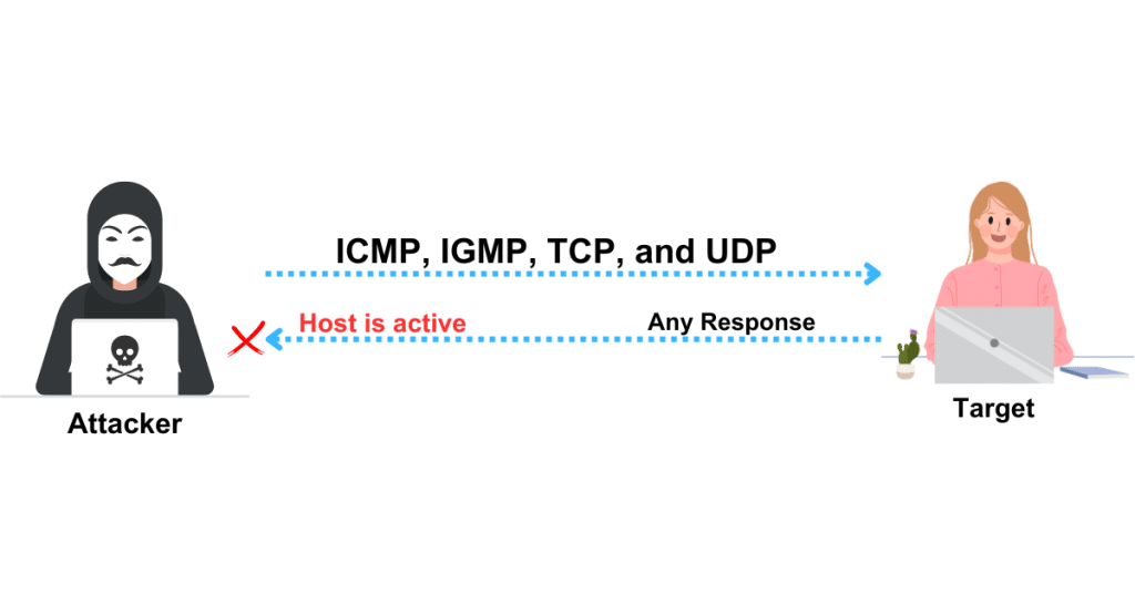 IP protocol ping scan for host discovery