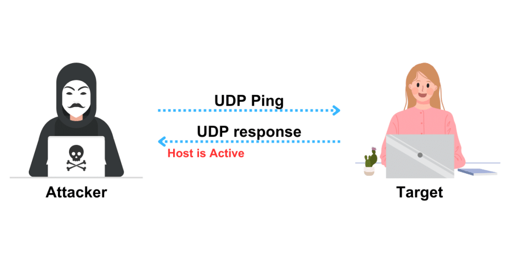 UDP ping scan