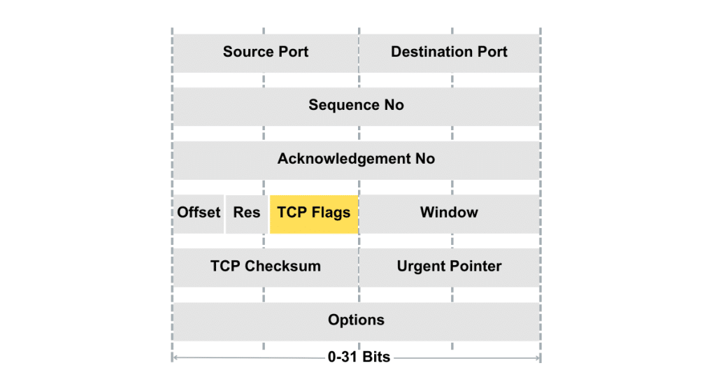 TCP header format
