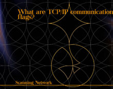 What are TCP/IP communication flags? 10