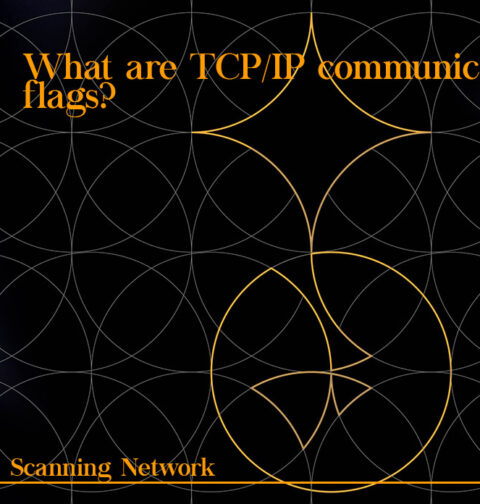 What are TCP/IP communication flags? 2