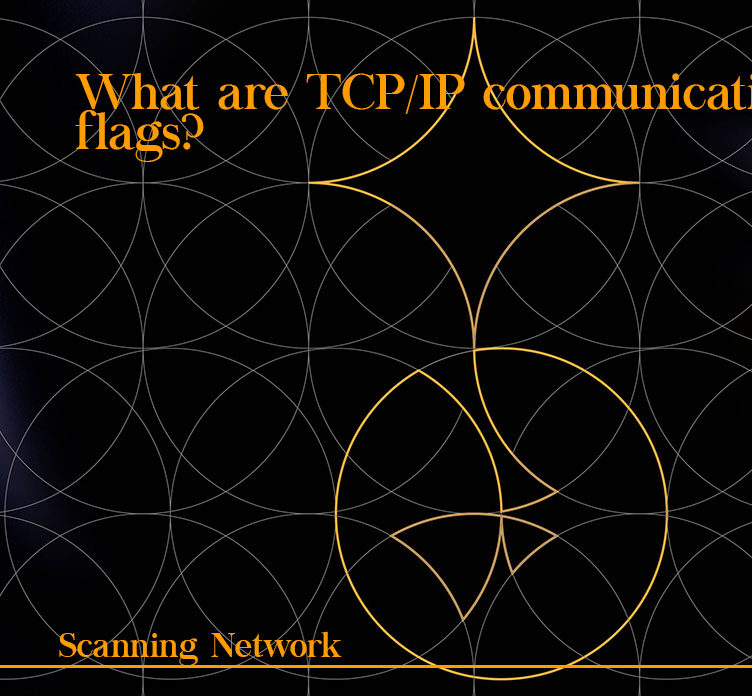 What are TCP/IP communication flags? 4