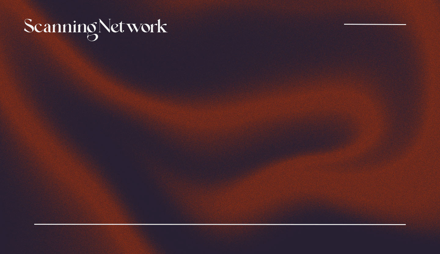 What Is Network Scanning