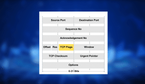 What is TCP/IP communication flags