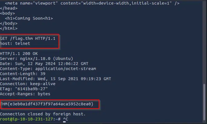 TryHackMe Walkthrough: Protocols and Servers