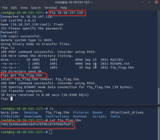 TryHackMe Walkthrough: Protocols and Servers 1