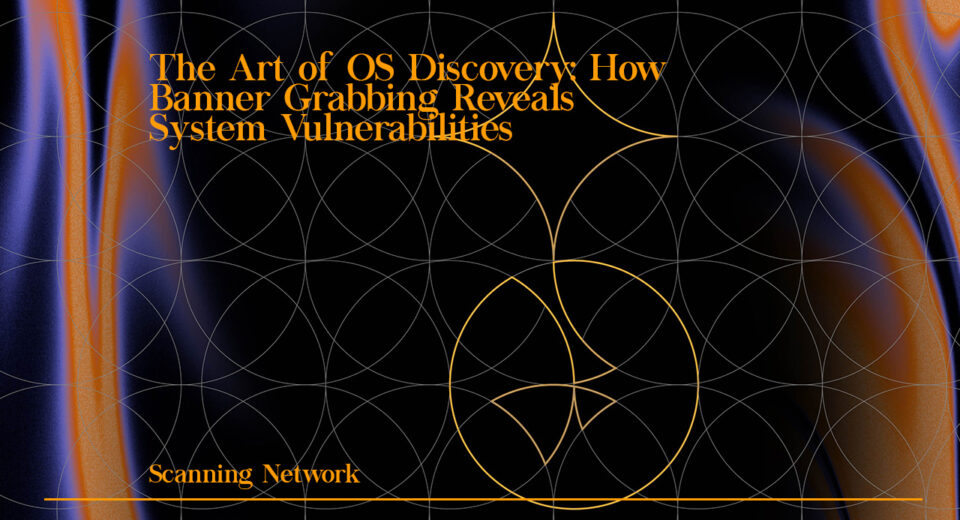 The Art of OS Discovery: How Banner Grabbing Reveals System Vulnerabilities 6