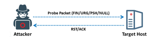 Inervse Flag scan when the port is closed