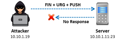 Techniques Used for discovering Ports and Services 4