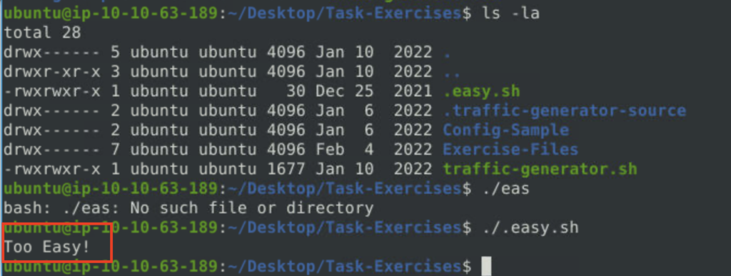 Navigate to the Task-Exercises folder and run the command "./.easy.sh" and write the output snort
